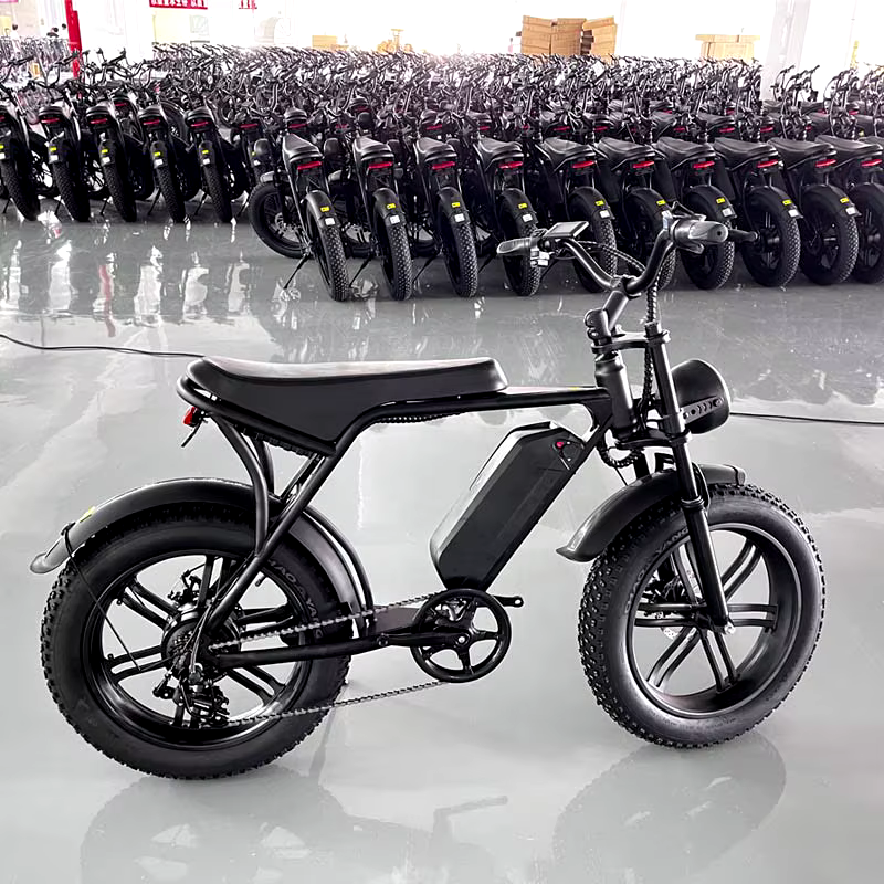 Top 10 E-Bikes China Manufacturers 2024
