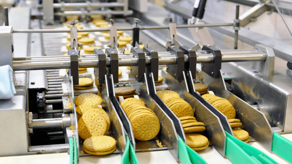Top 10 food machine manufacturers in 2024