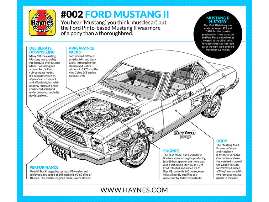 1973 Mustang Parts Car guide