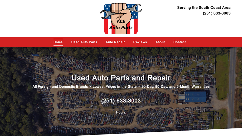 Ace Auto Parts ace auto parts