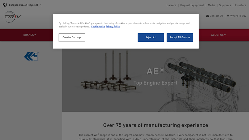 AE Parts federal auto parts