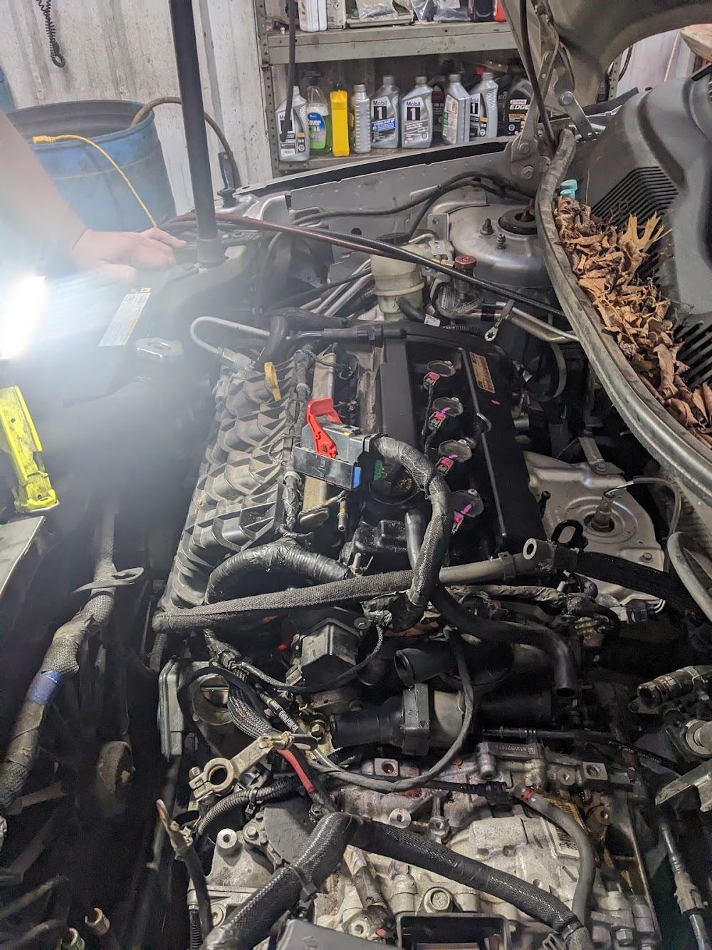 Alexandria Auto Parts guide