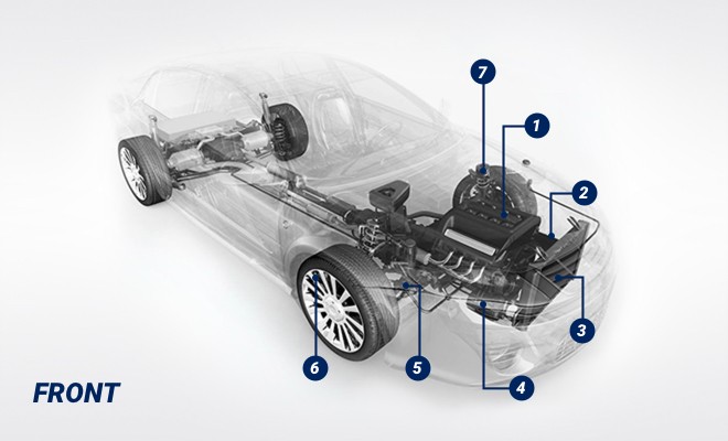 Auto Parte guide