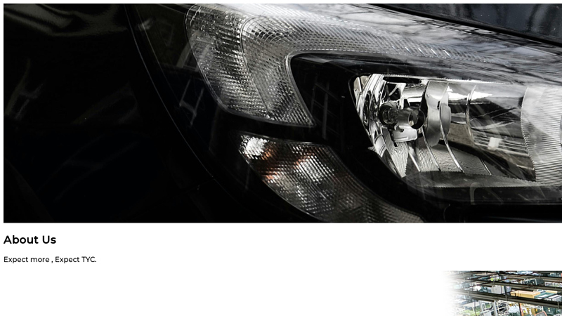 Automotive Lighting, Parts & Safety Solutions tyc auto parts