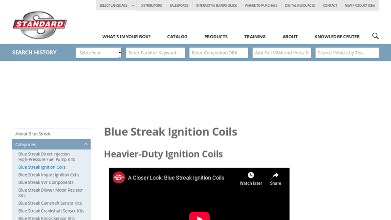 Blue Streak Ignition Coils bobina car part