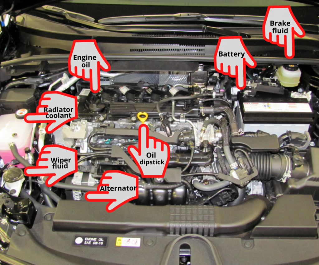 Car Hood Parts guide