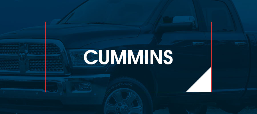 Cardinal Auto Parts guide