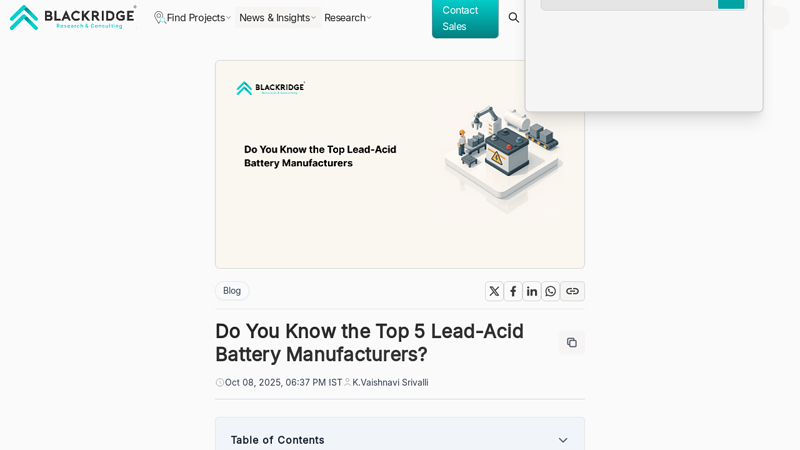 Do You Know the  Lead auto parts car battery