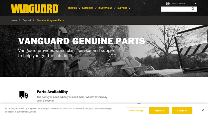 Genuine Vanguard Parts vanguard motor parts