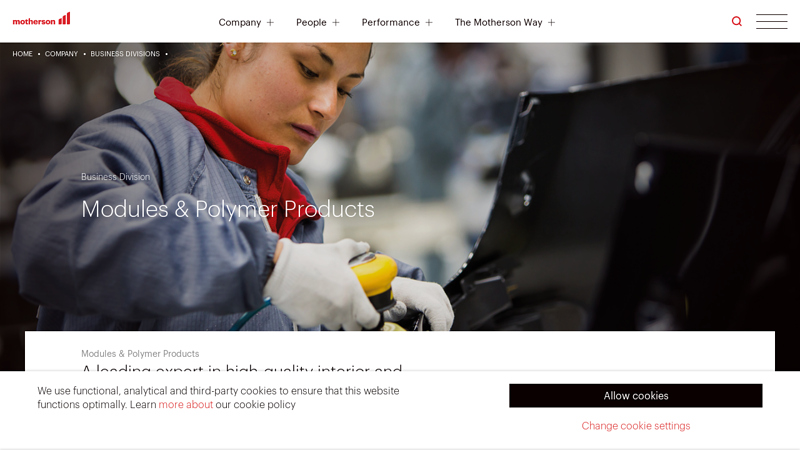 Modules and Polymer Products car interior parts