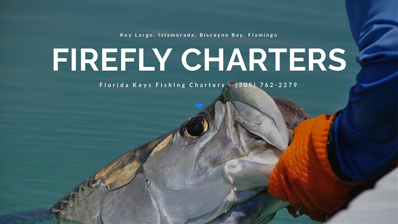 New Distributor For 1990 1994 nissan truck parts