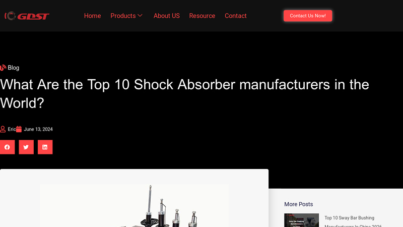 Shock Absorber manufacturers in the World shock car part