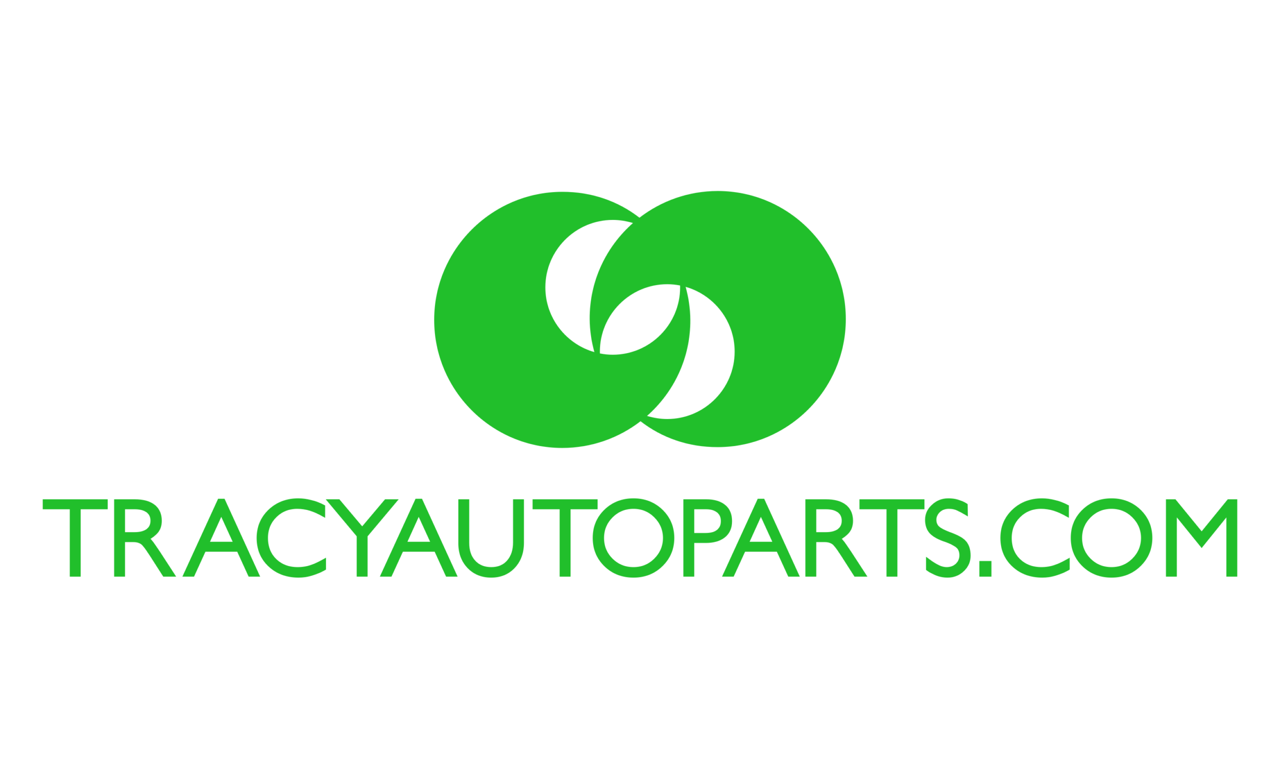 Tracy Auto Parts guide