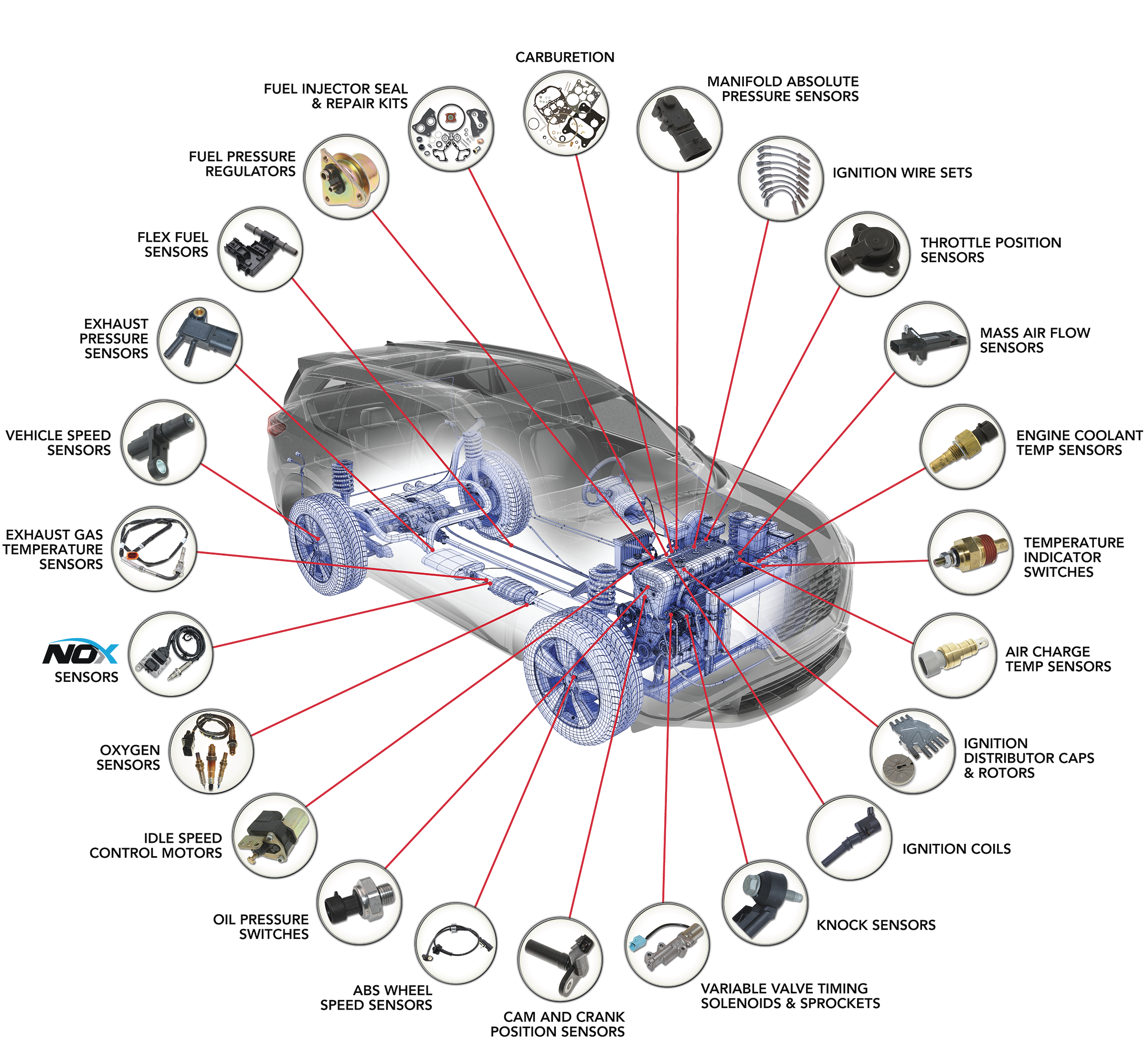 Walker Auto Parts guide