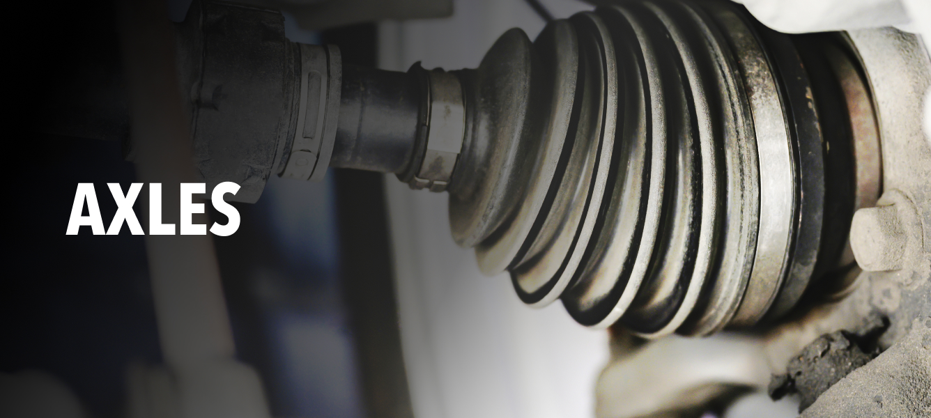 Whitney Auto Parts guide